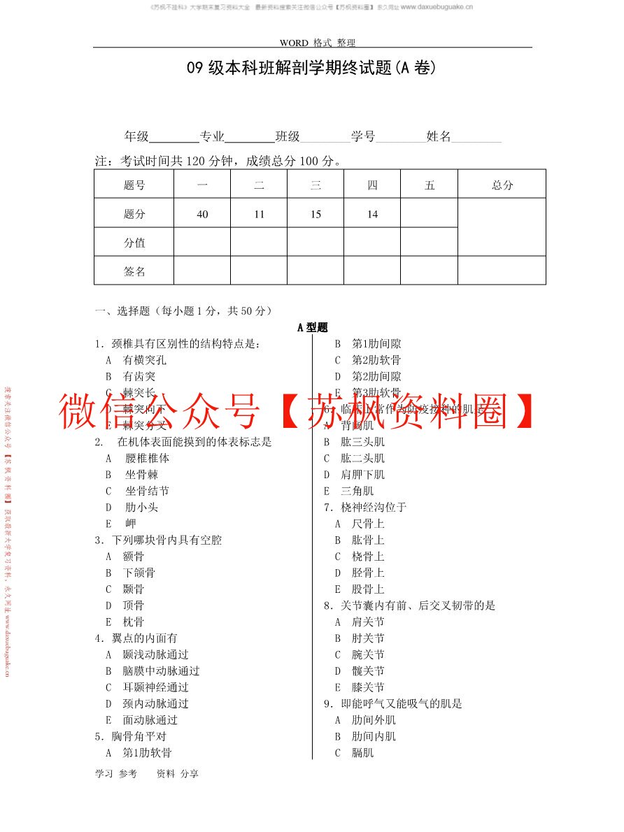 解剖学基础